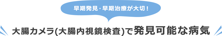 早期発見・早期治療が大切 大腸カメラ(大腸内視鏡検査)で発見可能な病気