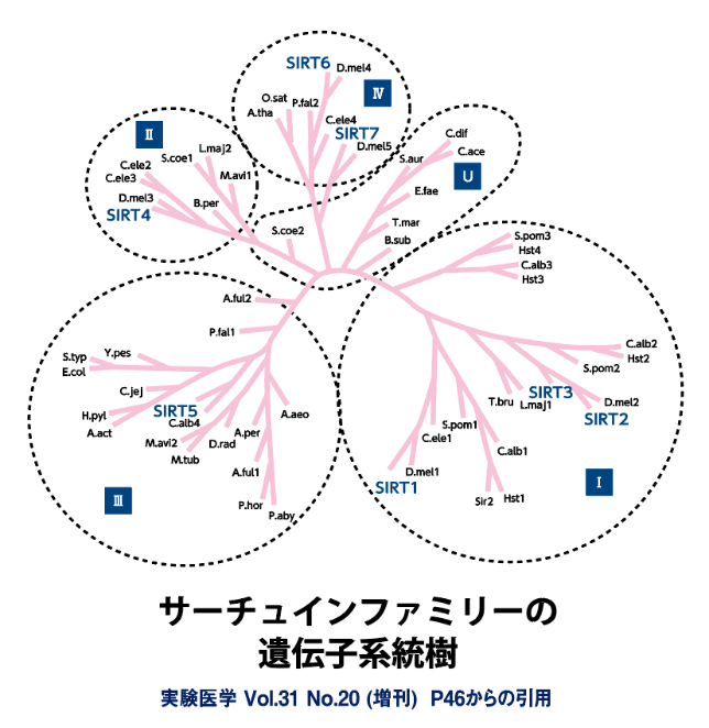 大阪でNMN点滴を行う玉城クリニックは都島区にございます。