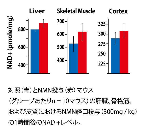 NMN点滴による治療効果の期待できる疾病②