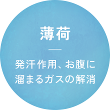 薄荷 発汗作用、お腹に 溜まるガスの解消