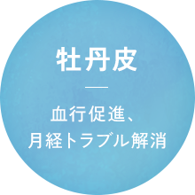 牡丹皮 血行促進、月経トラブル解消